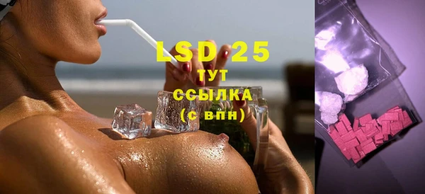 прущие грибы Баксан