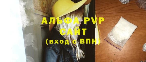 прущие грибы Баксан