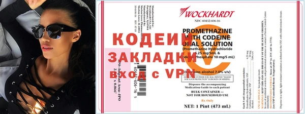 прущие грибы Балабаново