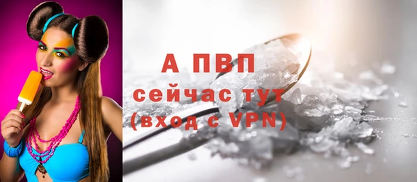 прущие грибы Балабаново