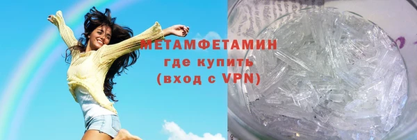 прущие грибы Балабаново