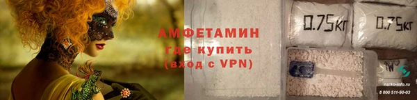 прущие грибы Балабаново