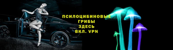 прущие грибы Баксан