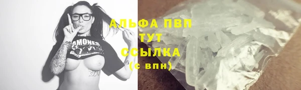 прущие грибы Баксан