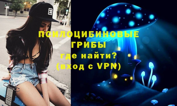 ECSTASY Балахна