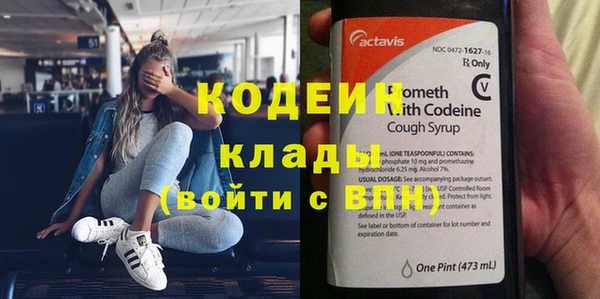 прущие грибы Баксан