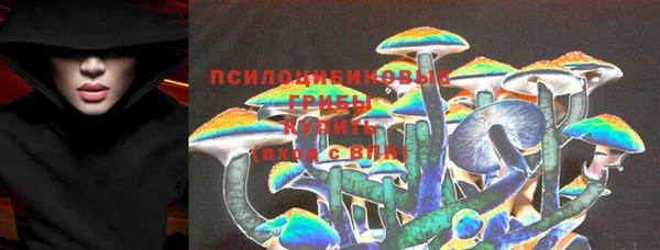 прущие грибы Баксан