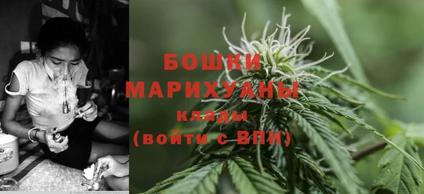 прущие грибы Балабаново
