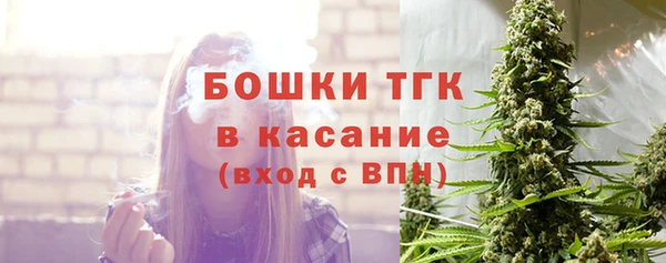 прущие грибы Балабаново